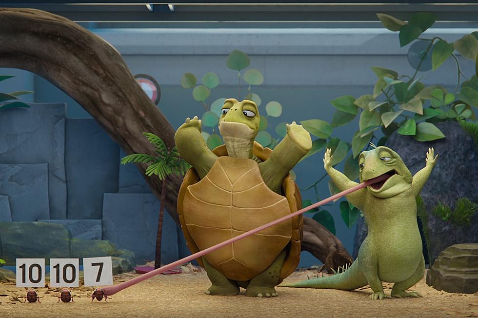 Adam Sandler’s Newest Role: A Cranky Old Animated Lizard in ‘Leo’